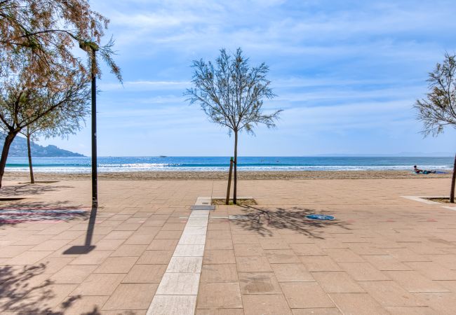 Apartamento en Rosas / Roses - Punta Pelegri 318 Roses- RENOVACION INTEGRA ABRIL 2025 - Immo Barneda Apartamento en Rosas / Roses - Punta Pelegri 318 Roses- RENOVACION INTEGRA ABRIL 2025 - Immo Barneda