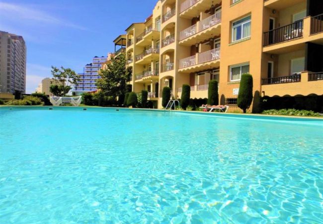 Apartamento en Empuriabrava - Mirablau F 11  Empuriabrava - Immo Barneda Apartamento en Empuriabrava - Mirablau F 11  Empuriabrava - Immo Barneda