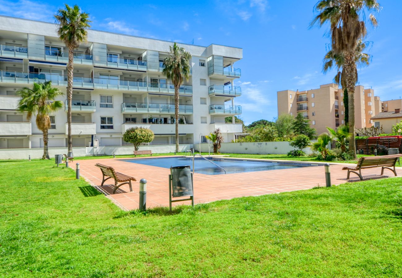 Apartamento en Rosas / Roses - Porto Marina 218 Roses - Immo Barneda 