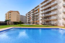 Apartamento en Rosas / Roses - Marines Mestral 2 5 Roses - Immo Barneda Apartamento en Rosas / Roses - Marines Mestral 2 5 Roses - Immo Barneda