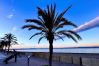 Apartamento en Rosas / Roses - PC.MESTRAL 1º 1º Roses - Barneda Premium