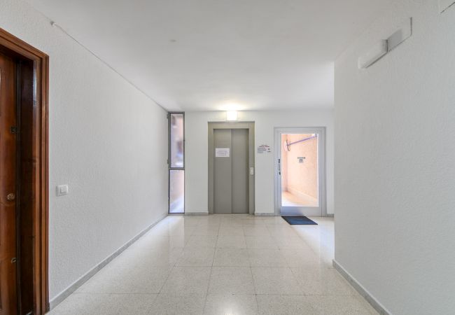 Apartamento en Rosas / Roses - Dallas 2 F  Canyelles Roses - Immo Barneda Apartamento en Rosas / Roses - Dallas 2 F  Canyelles Roses - Immo Barneda