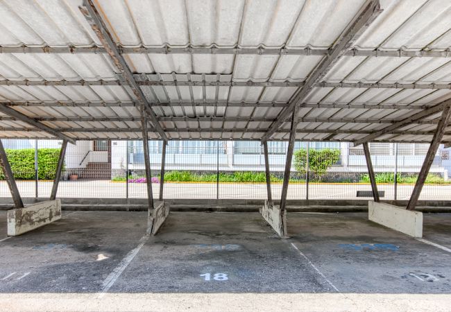 Apartament en Rosas / Roses - Punta Pelegri 318 Roses- REFORMA COMPLETA ABRIL 2025 - Immo Barneda Apartament en Rosas / Roses - Punta Pelegri 318 Roses- REFORMA COMPLETA ABRIL 2025 - Immo Barneda