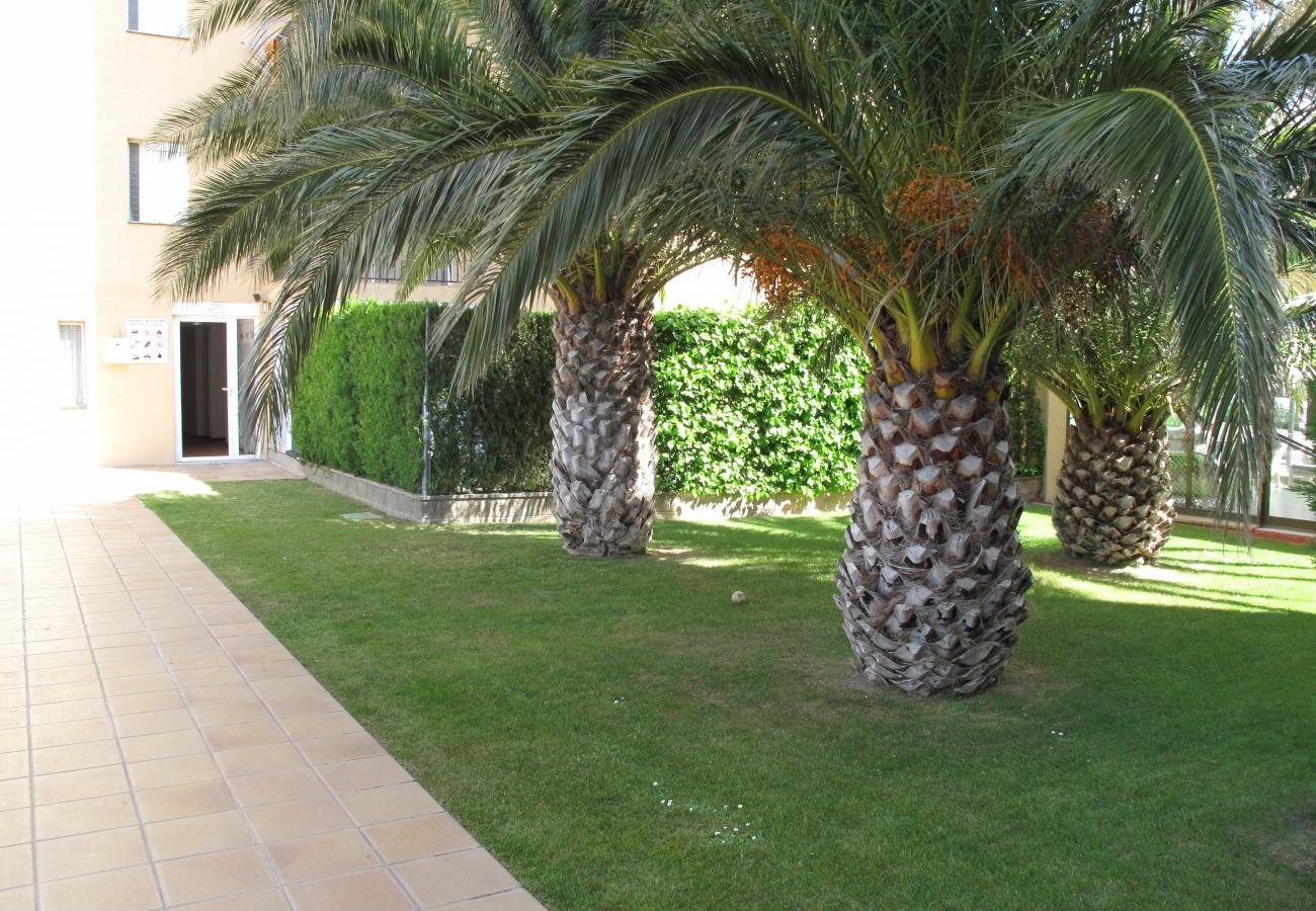 Apartament en Rosas / Roses - Mediterraneo 2 3 6 Roses - Immo Barneda