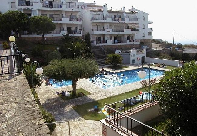 Apartament en Rosas / Roses - Jardins III 1 Bjs 3 Roses - Immo Barneda 