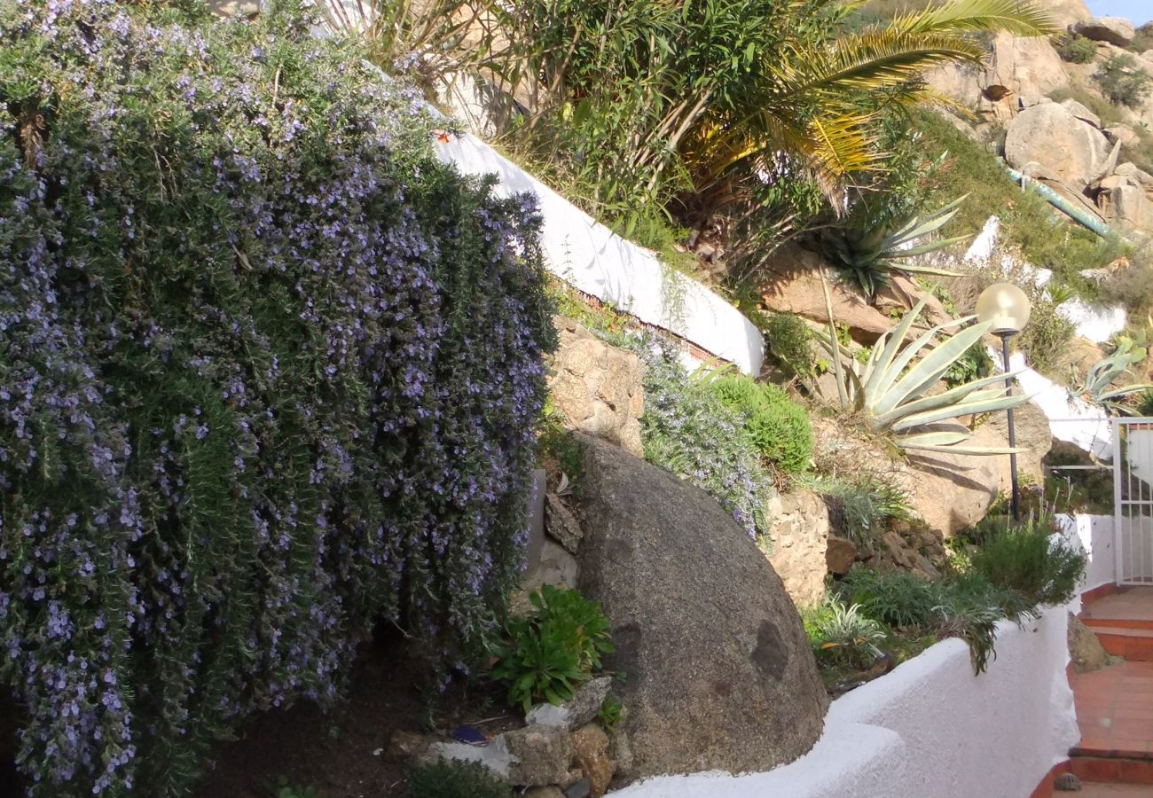 Casa en Rosas / Roses - Ibiza Bramer 27 Canyelles Roses - Immo Barneda