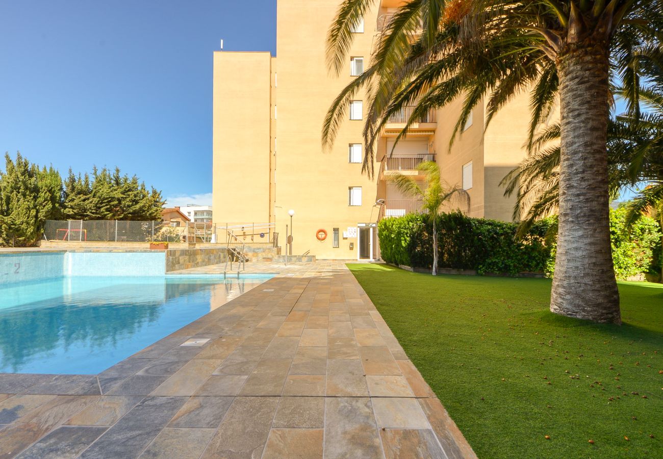 Apartament en Rosas / Roses - Mediterraneo 1 5 4 - Immo Barneda