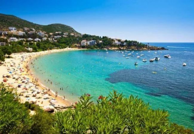 Ferienwohnung in Rosas / Roses - Jardins III 4 1 2 Roses - Immo Barneda Ferienwohnung in Rosas / Roses - Jardins III 4 1 2 Roses - Immo Barneda