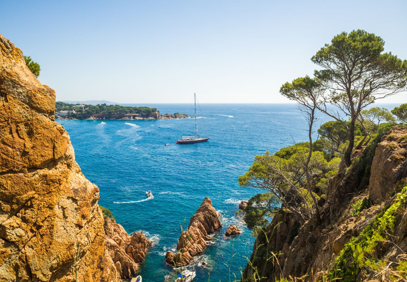 Ferienwohnung in Rosas / Roses - Tramuntana Roses - Immo Barneda 