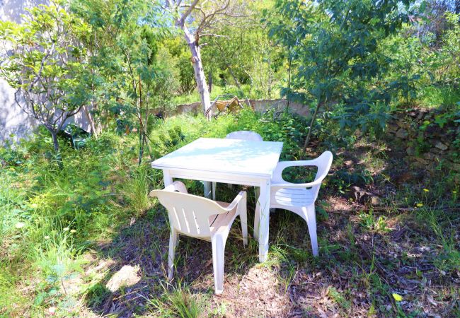 Ferienwohnung in Rosas / Roses - Pujada Puig Rom 126 Roses - Immo Barneda Ferienwohnung in Rosas / Roses - Pujada Puig Rom 126 Roses - Immo Barneda