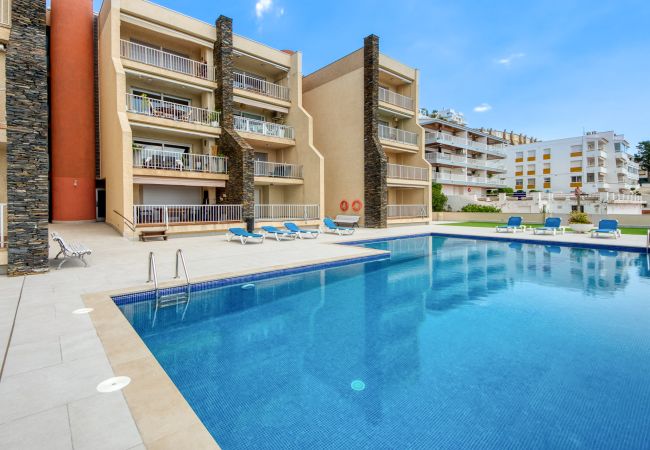 Ferienwohnung in Rosas / Roses -  Dallas 2B Canyelles Rose s - Immo Barneda Ferienwohnung in Rosas / Roses -  Dallas 2B Canyelles Rose s - Immo Barneda