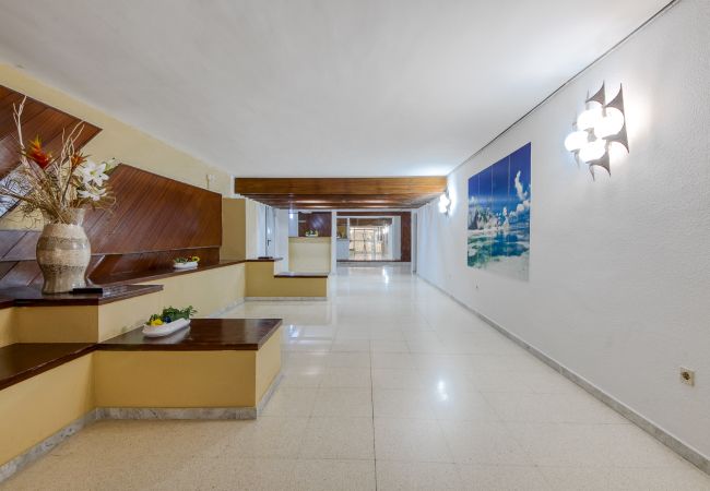 Ferienwohnung in Rosas / Roses -  Dallas 2B Canyelles Rose s - Immo Barneda Ferienwohnung in Rosas / Roses -  Dallas 2B Canyelles Rose s - Immo Barneda