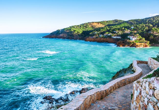 Apartment in Rosas / Roses - Royal Marine 2 425 Roses - Immo Barneda Apartment in Rosas / Roses - Royal Marine 2 425 Roses - Immo Barneda