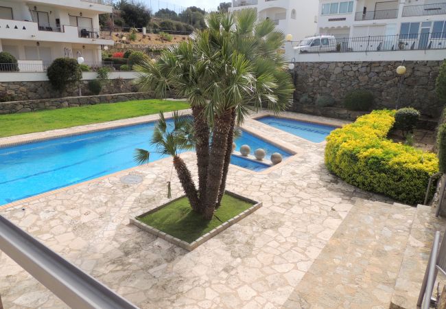 Apartment in Rosas / Roses - Jardins 3 2 1 1 Roses - Immo Barneda Apartment in Rosas / Roses - Jardins 3 2 1 1 Roses - Immo Barneda