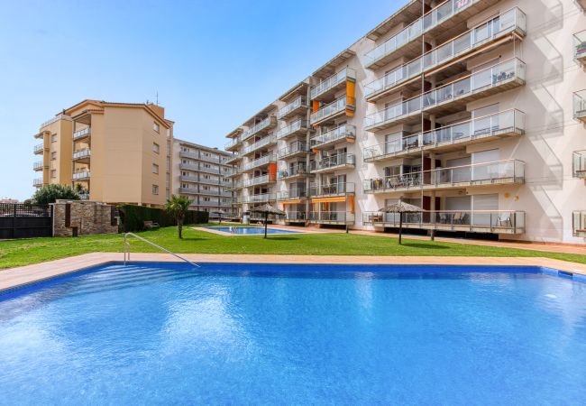 Appartement à Rosas / Roses - Marines Mestral 2 5 Roses - Immo Barneda Appartement à Rosas / Roses - Marines Mestral 2 5 Roses - Immo Barneda