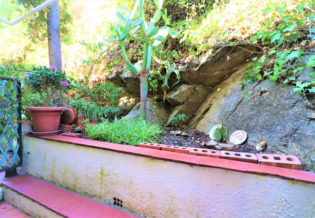 Maison mitoyenne à Rosas / Roses - Mallorca 8 Canyelles Roses - Immo Barneda Maison mitoyenne à Rosas / Roses - Mallorca 8 Canyelles Roses - Immo Barneda