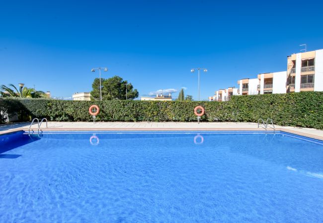 Appartement à Rosas / Roses - CAN PARAMON G 2 2 Roses Immo Barneda Appartement à Rosas / Roses - CAN PARAMON G 2 2 Roses Immo Barneda